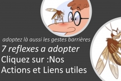 adopter-moustiques-jpg