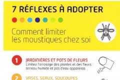 moustique-